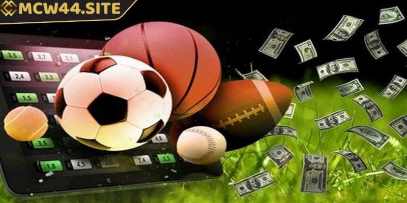Cá cược thể thao - Hình thức giải trí phổ biến và hấp dẫn hiện nay 3 Người chơi có thể tham gia cá độ thể thao ở nhiều bộ môn khác nhau